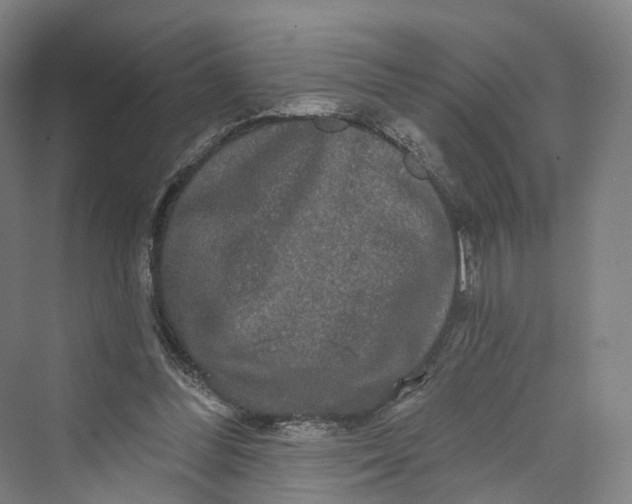 X0000069790300200606021420