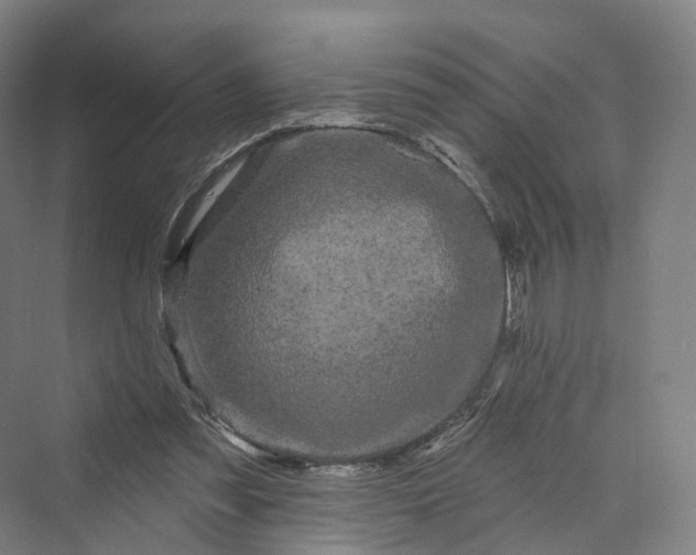 X0000069790301200606021420