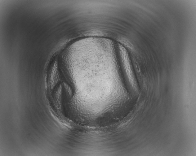 X0000069790302200606021420