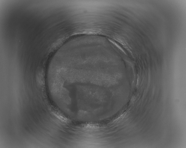 X0000069790303200606021420