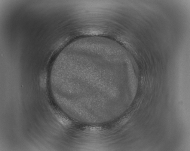 X0000069790304200606021420