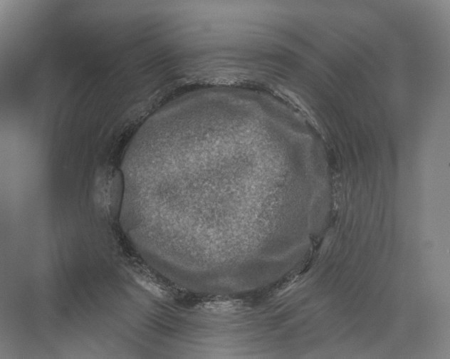 X0000069790307200606021420