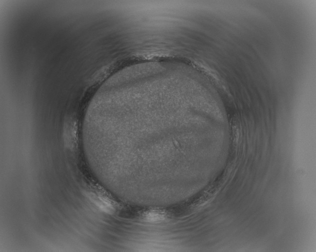 X0000069790308200606021420