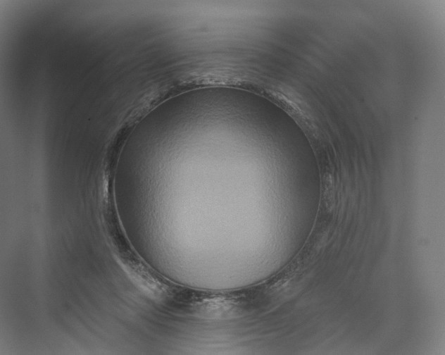 X0000069790310200606021420