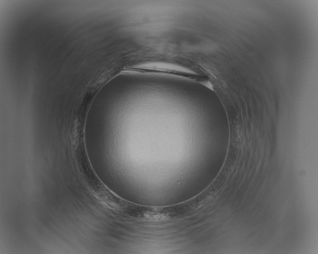 X0000069790311200606021420