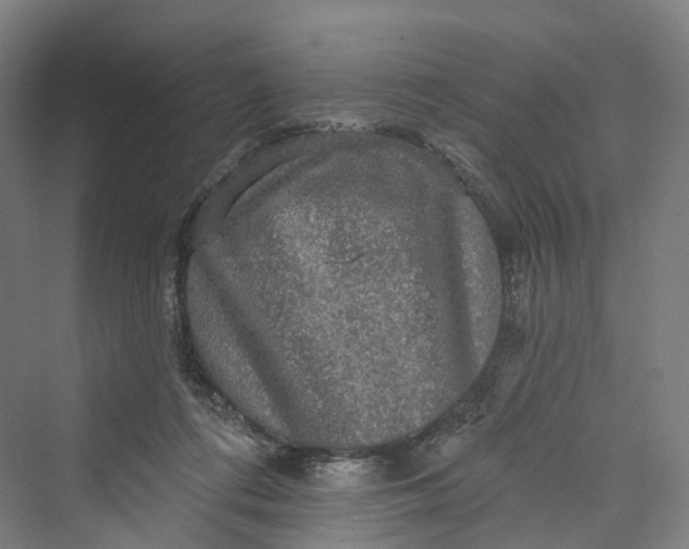 X0000069790312200606021420