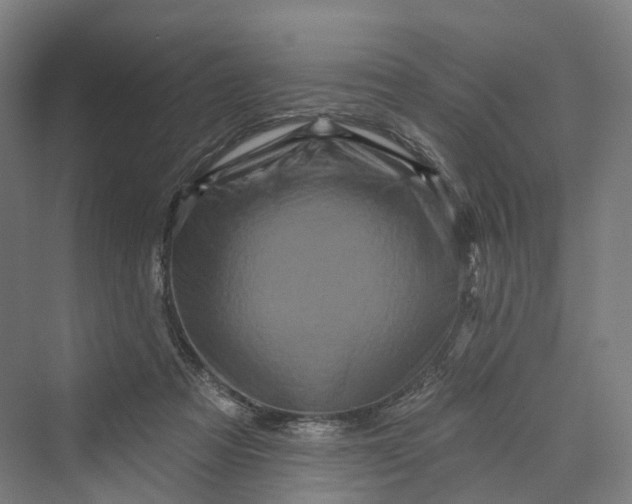 X0000069790313200606021420