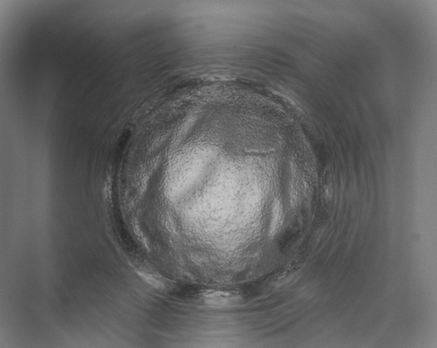 X0000069790315200606021420