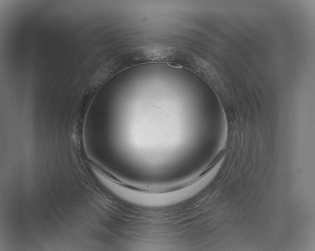 X0000069790317200606021420