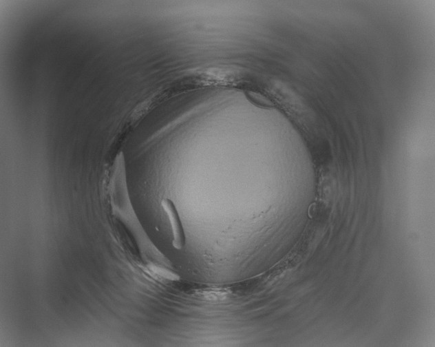 X0000069790318200606021420