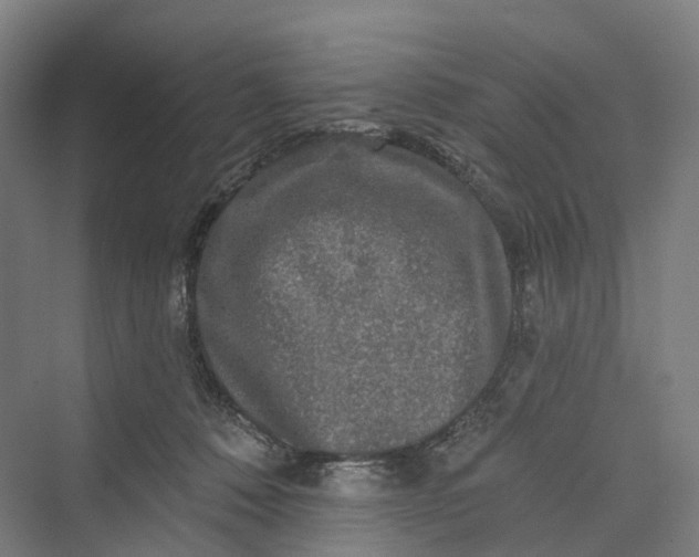 X0000069790320200606021420