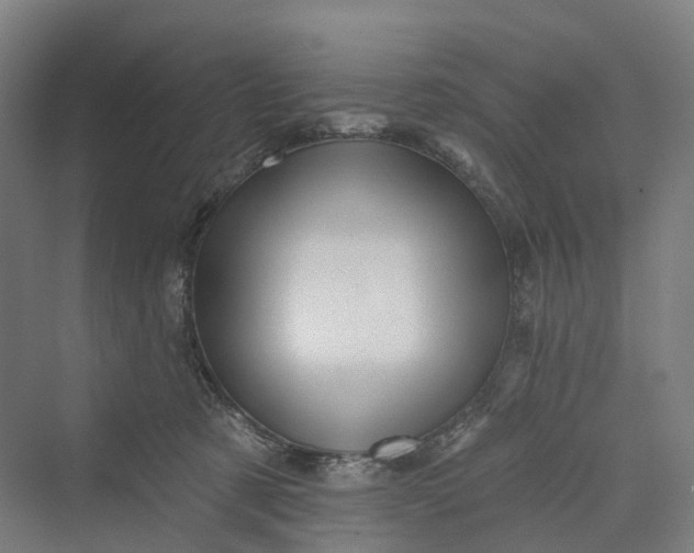 X0000069790321200606021420