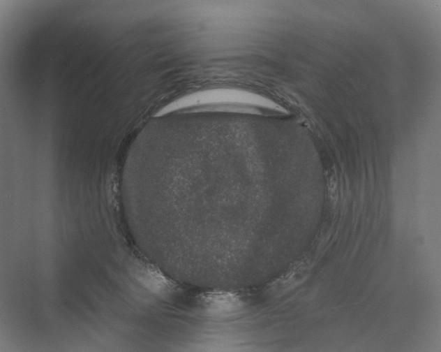 X0000069790322200606021420