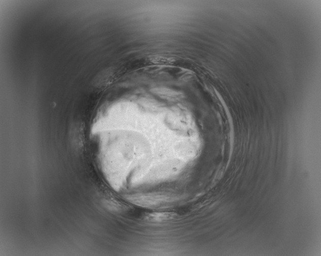 X0000069790323200606021420