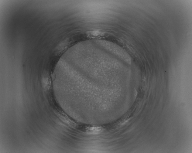 X0000069790324200606021420