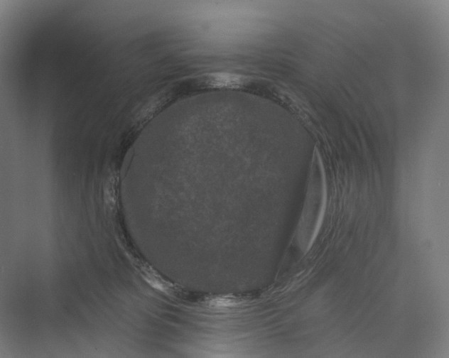 X0000069790325200606021420