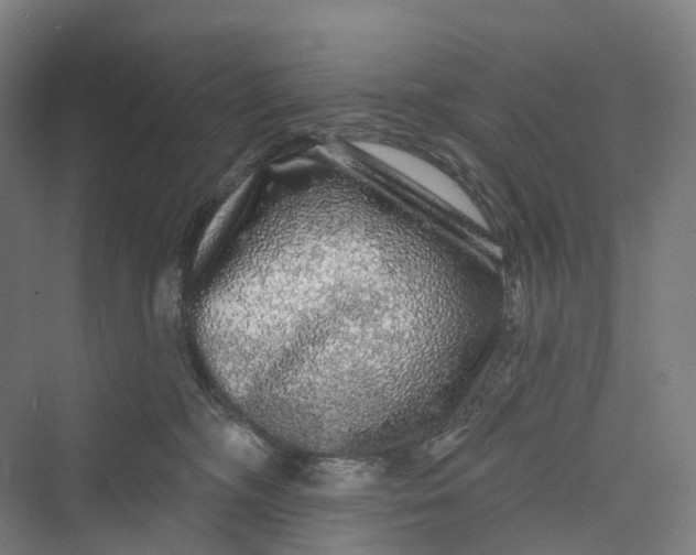 X0000069790326200606021420