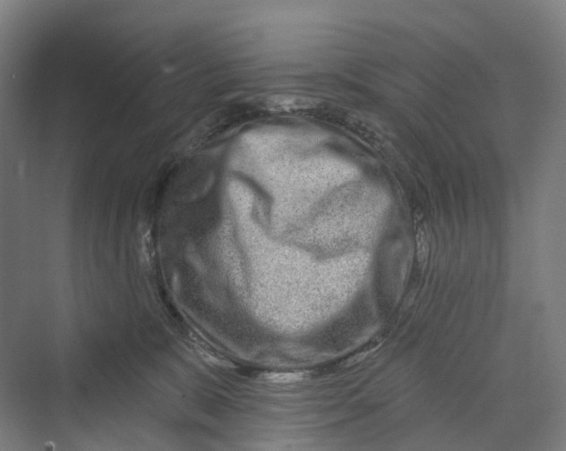 X0000069790327200606021420