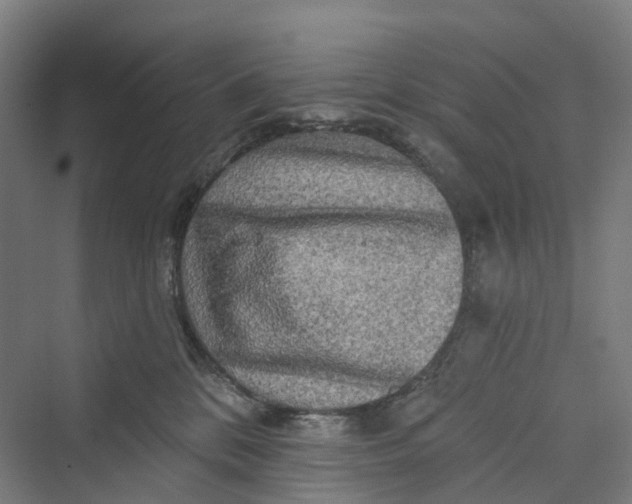 X0000069790328200606021420