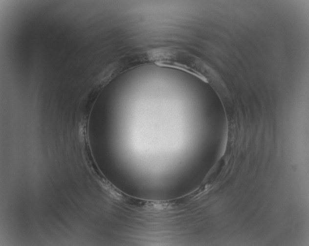 X0000069790329200606021420