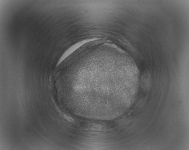 X0000069790330200606021420