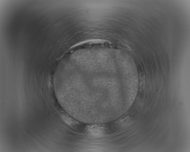 X0000069790331200606021420