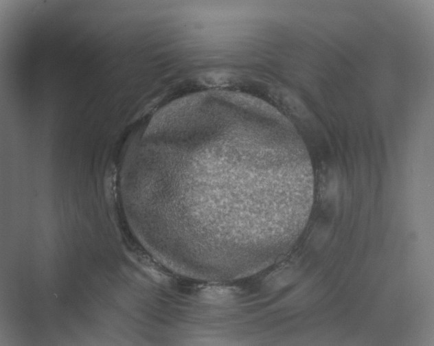 X0000069790332200606021420