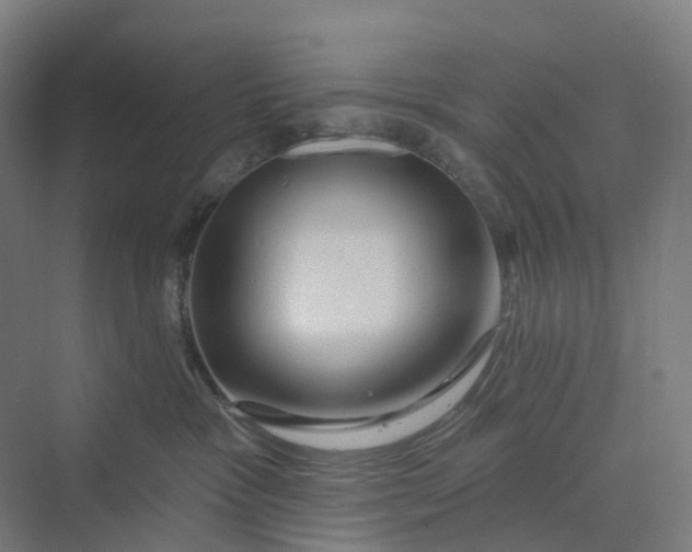 X0000069790333200606021420