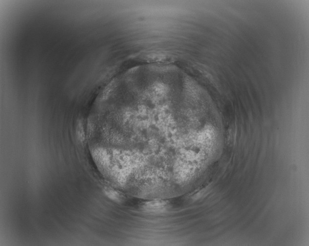 X0000069790335200606021419