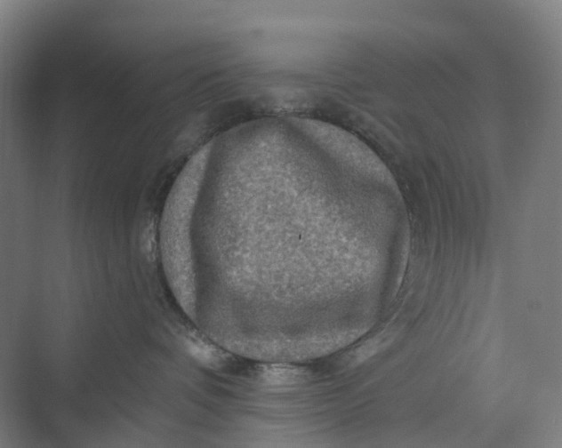 X0000069790336200606021419