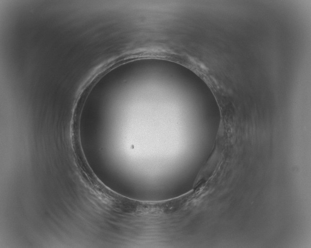 X0000069790340200606021419