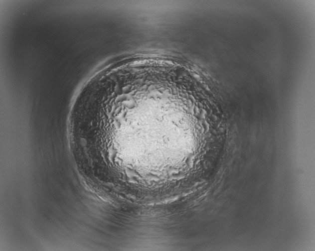 X0000069790343200606021419