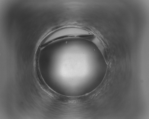 X0000069790344200606021419