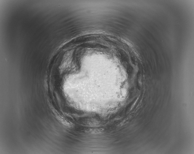 X0000069790345200606021419