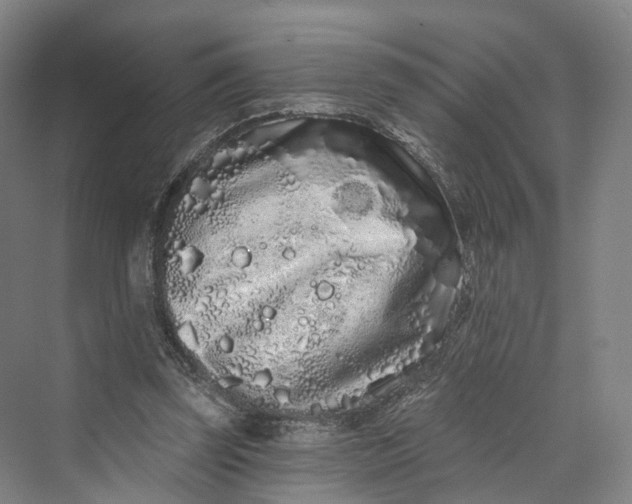 X0000069790347200606021419