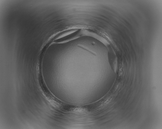 X0000069790348200606021419