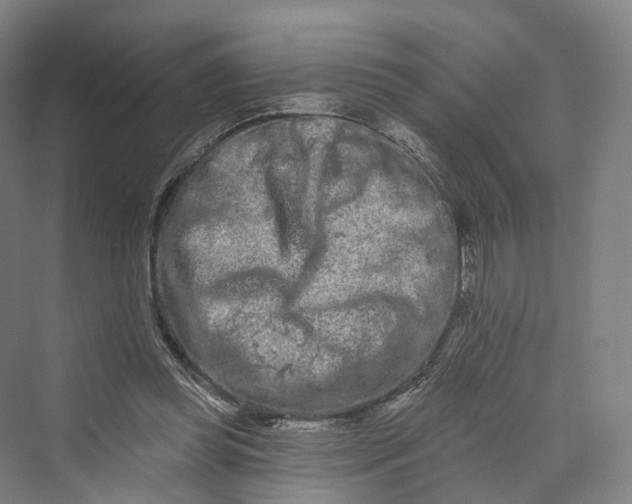 X0000069790349200606021419