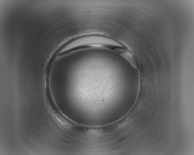 X0000069790350200606021419