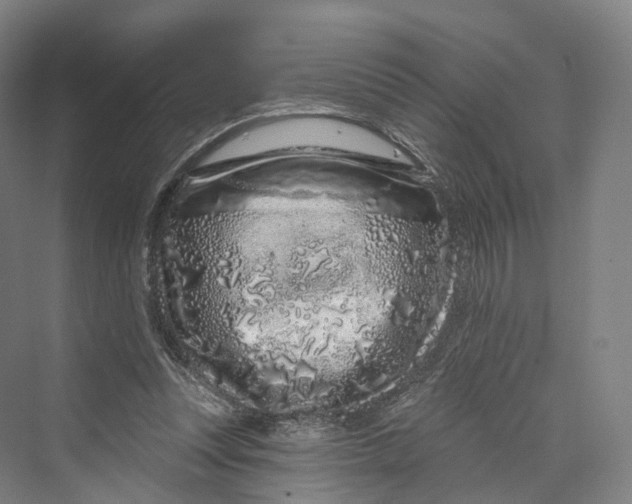 X0000069790351200606021419