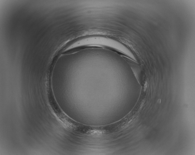 X0000069790352200606021419