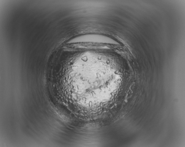 X0000069790353200606021419