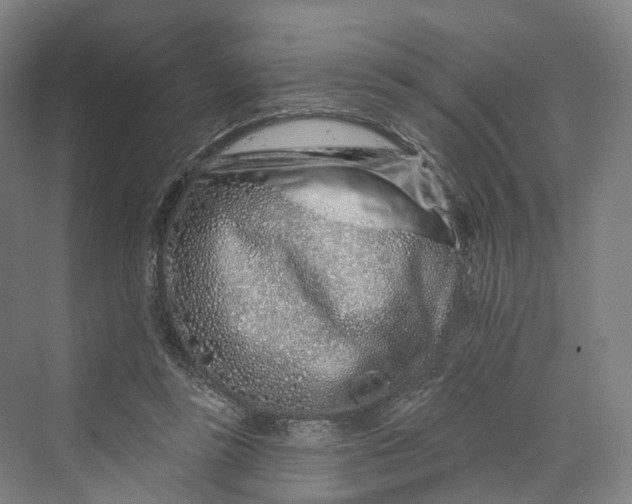 X0000069790355200606021419