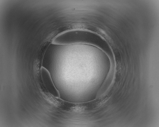 X0000069790356200606021419