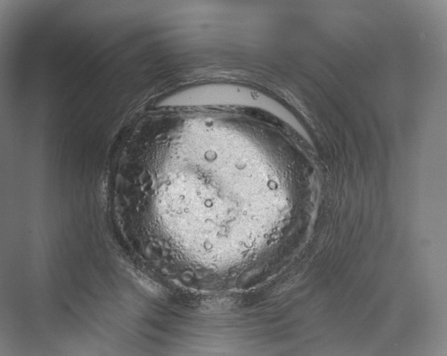 X0000069790357200606021419