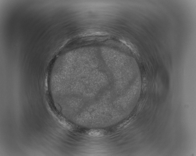 X0000069790358200606021419