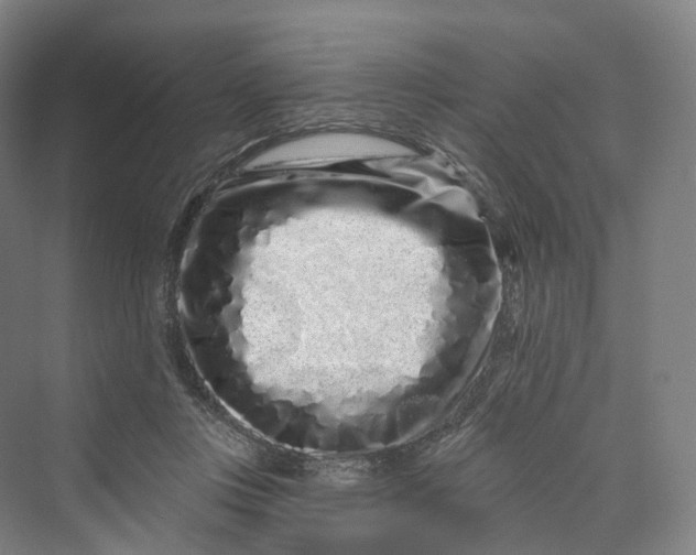 X0000069790359200606021419