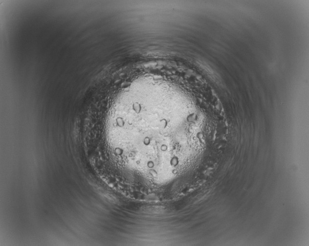 X0000069790361200606021419