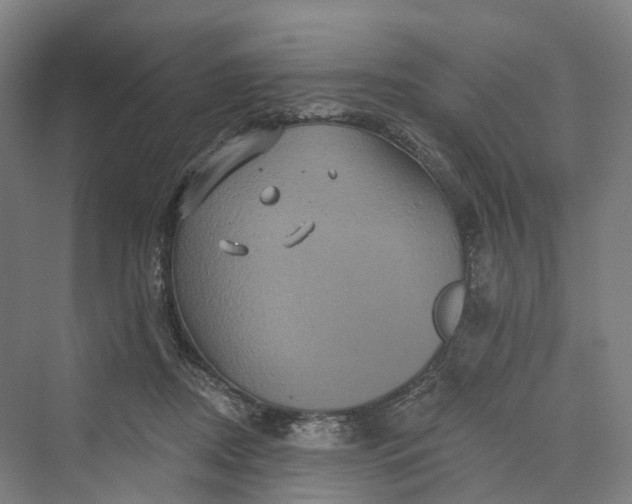 X0000069790362200606021419