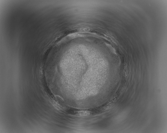 X0000069790363200606021419