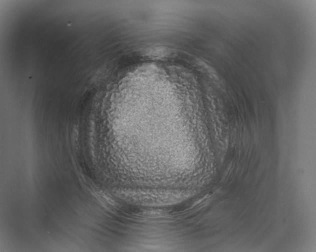 X0000069790365200606021419